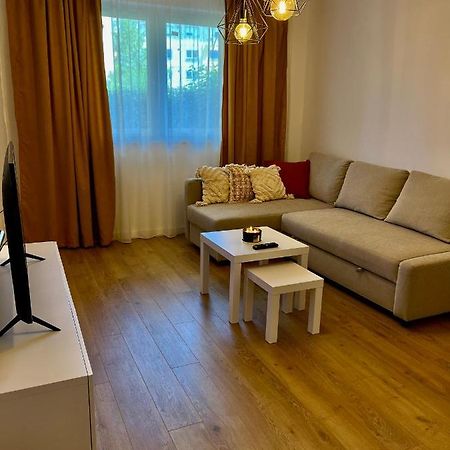 Alexander Cozy Apartment Free Private Parking Medgyes Kültér fotó