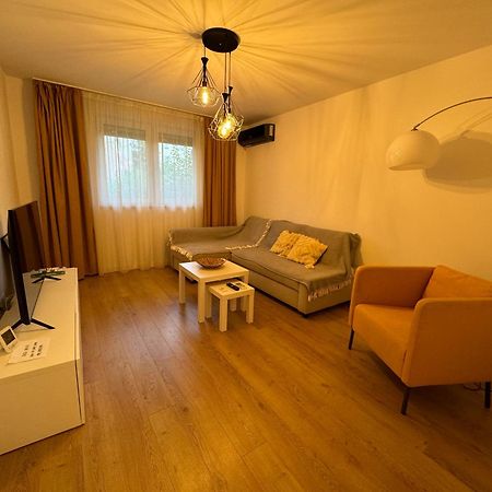 Alexander Cozy Apartment Free Private Parking Medgyes Kültér fotó
