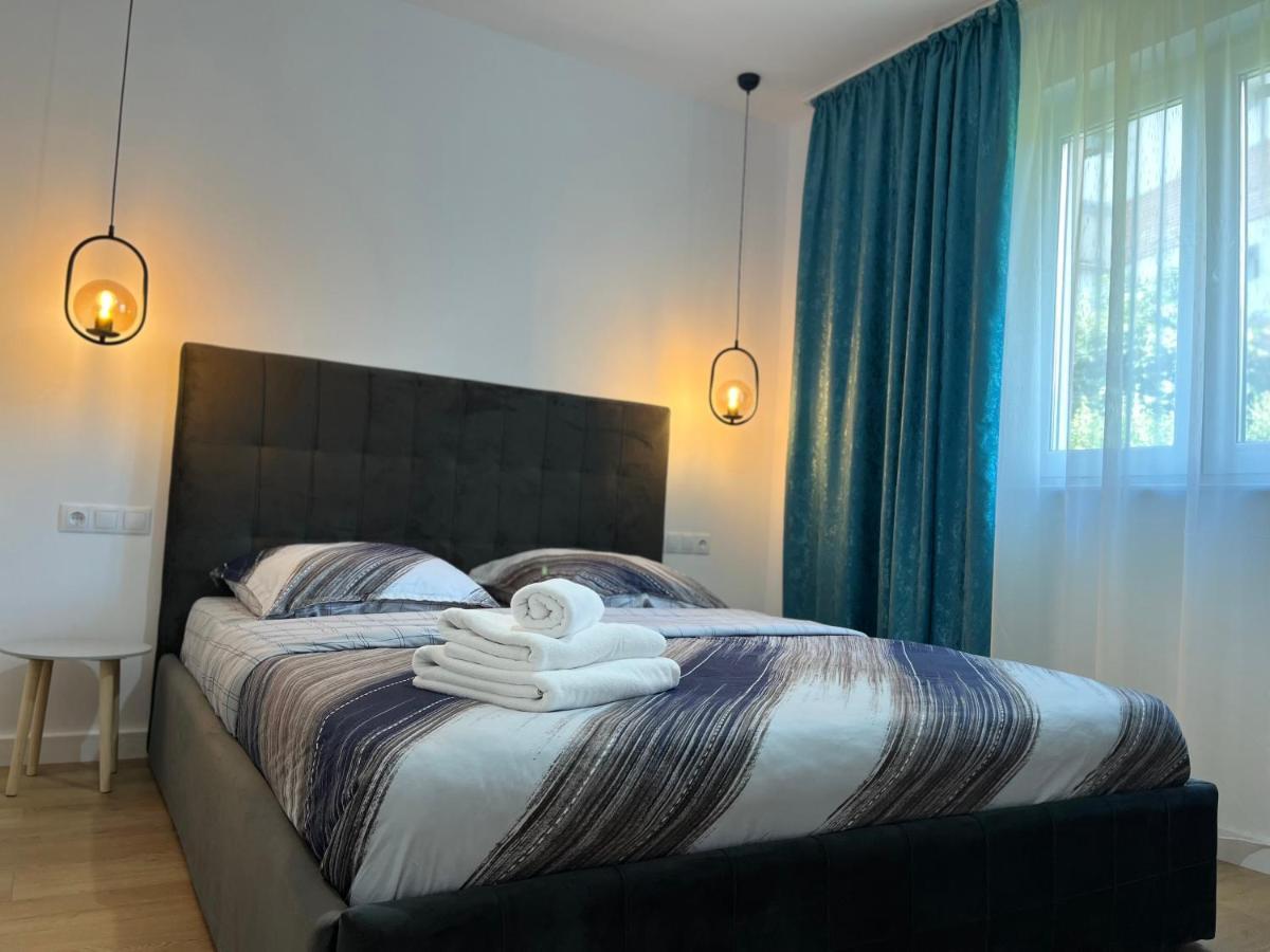 Alexander Cozy Apartment Free Private Parking Medgyes Kültér fotó